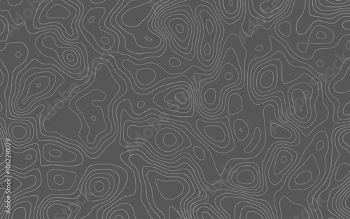 Geography landscape Topo contour map on white background.