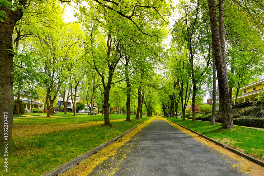 A treelined street of historic homes near Manito Park in the picturesque South Hill district of Spokane, Washington, Northwest region of the United States. A treelined street of historic homes near Manito Park in the picturesque South Hill district of Spokane, Washington, Northwest region of the United States.