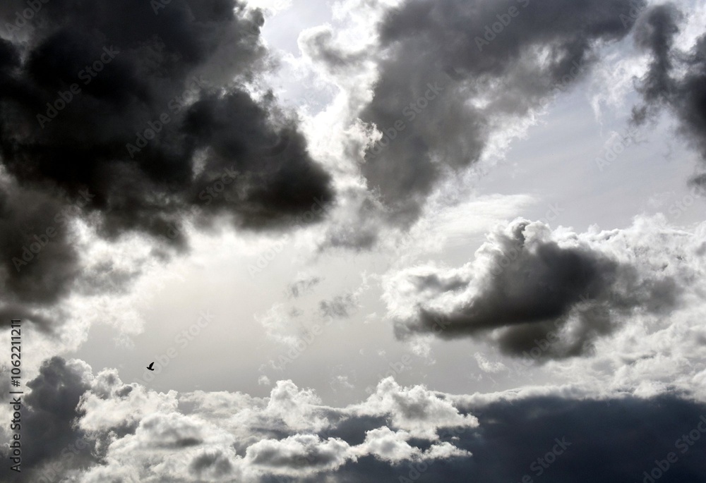 Cielo tormentoso y pájaro atravesand la inmensidad de izquierda a derecha Cielo tormentoso y pájaro atravesand la inmensidad de izquierda a derecha