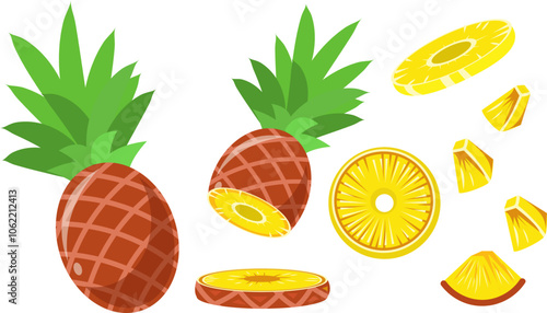 Fresh Pineapple Slices and Chunks Illustration