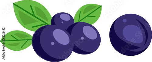 Fresh Bilberry Illustration Fruit Clipart