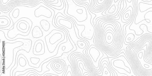 Vector lines pattern seamless sea map topography design. White wave paper curved reliefs Contour maps