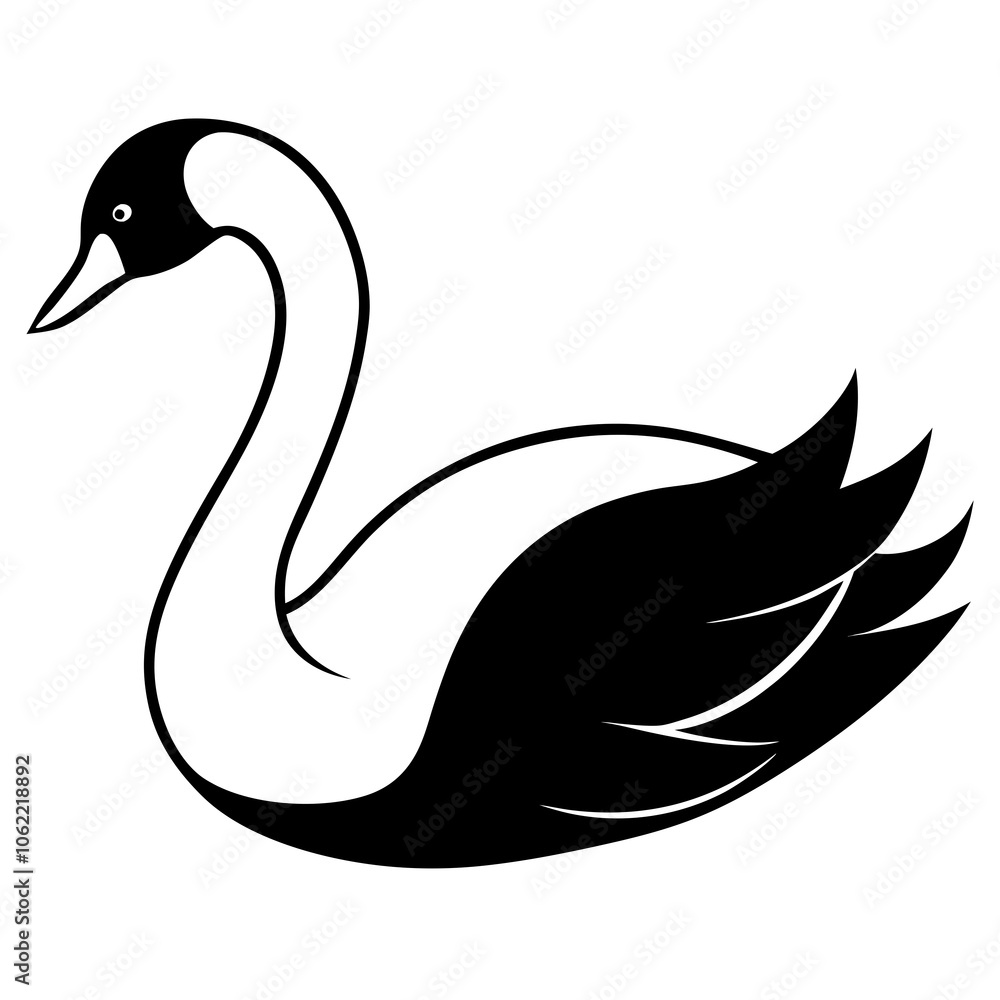 Fototapeta premium black swan vector