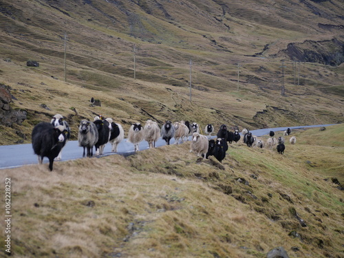 Faroe Islands photo