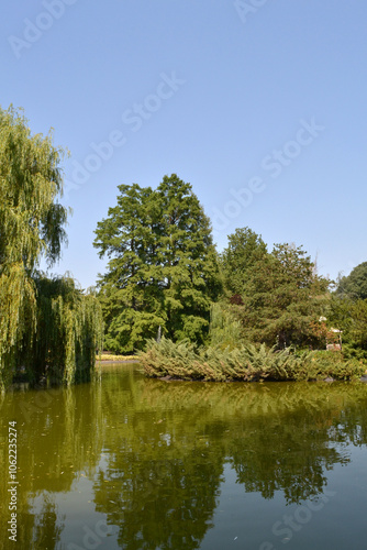 Lake in the park