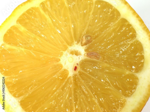 Vibrant Rangpur Citrus: Fresh Clementines and Mandarins on Display photo