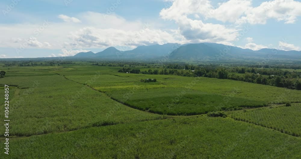 Aerial view of farmland with sugarcane plantations in asia. Negros, Philippines Aerial view of farmland with sugarcane plantations in asia. Negros, Philippines