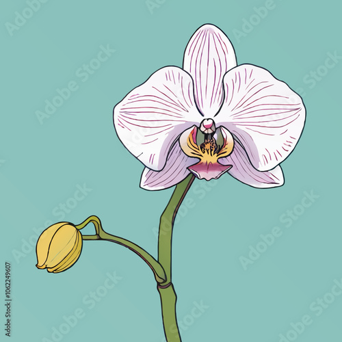 cartoon orchid vector