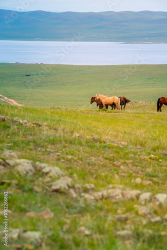 Ogii Lake, a freshwater lake in eastern Arkhangai, in central Mongolia, well known for its fish and for birdlife, Mongolia