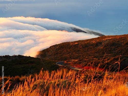 A curving road winds through lush hills as morning clouds blanket the terrain, offering a captivating scene of nature's interplay between earth and sky's beauty - Pico do Arieiro, Madeira, Portugal.