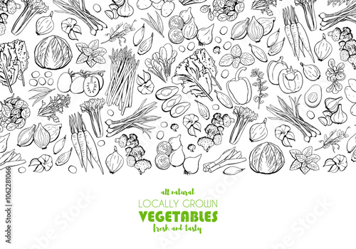 Hand Drawn Farm Market Template with Healthy Doodle Vegetables. Vector Outline Illustration