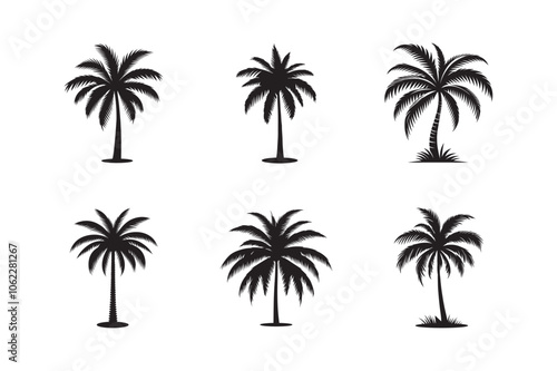 Black palm tree sets icon isolated on white background. Palm icon silhouettes. Design of palm tree.