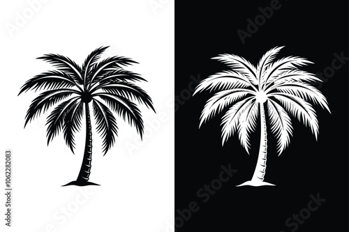 Black palm tree isolated on white background. Palm icon silhouettes. Design of palm tree.