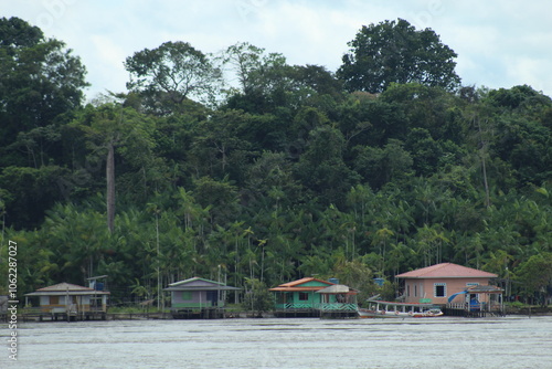 casas ribeirinhas nas margens do rio amazonas, pará 
