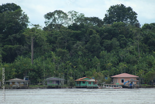 casas ribeirinhas nas margens do rio amazonas, pará 