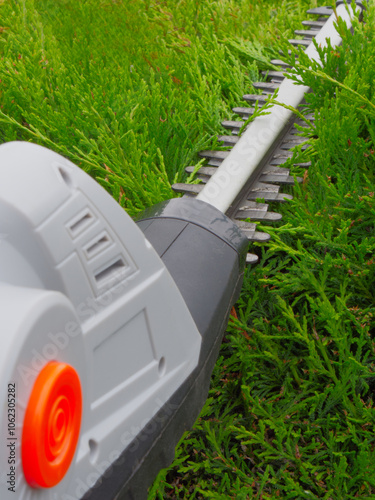 Closeup of a powered hedge trimmer tool, with the blade cutting the top of a thick green conifer tree or bush.