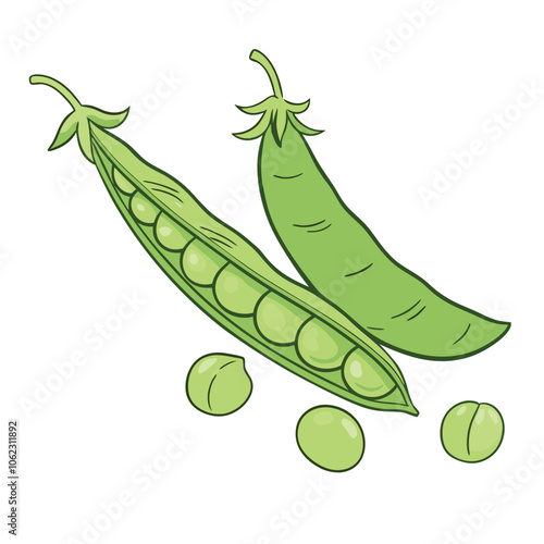 Vector Cartoon Green Peas Pod illustration