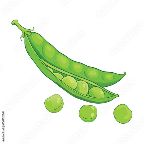 Vector Cartoon Green Peas Pod illustration