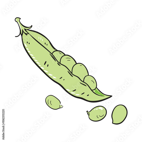 Vector Cartoon Green Peas Pod illustration