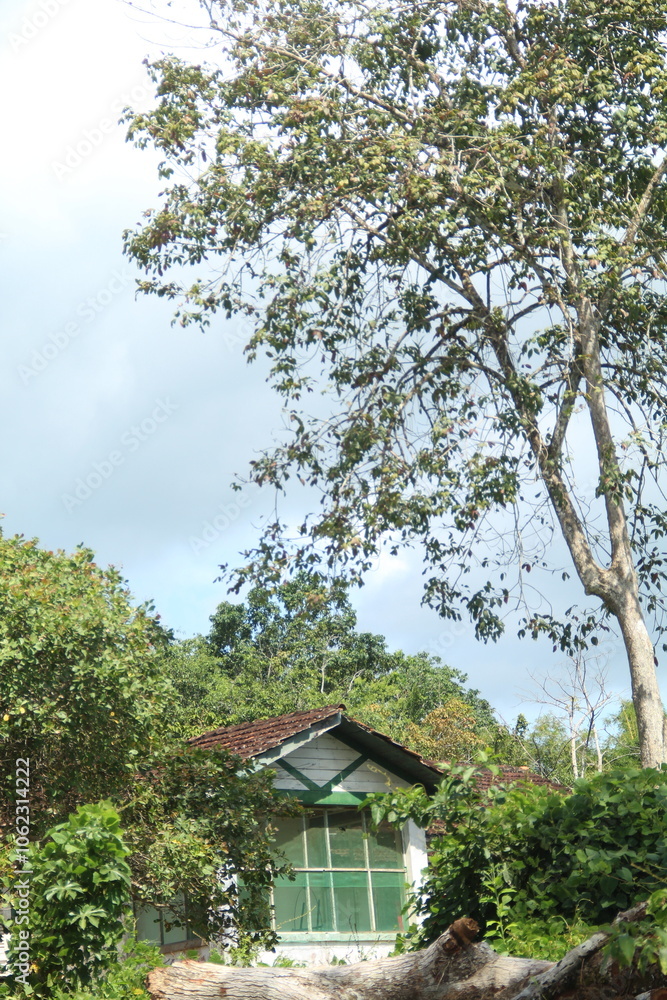 casas em estilo americano em belterra, pará casas em estilo americano em belterra, pará