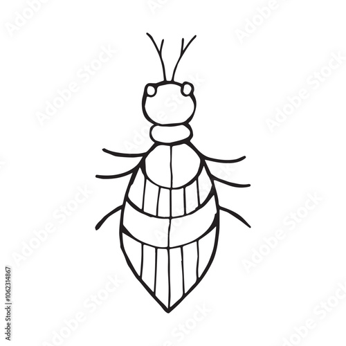 Coloring page of a beetle, bug. Insect outline vector, icon. Hand drawn doodle style, Isolated black line on white.