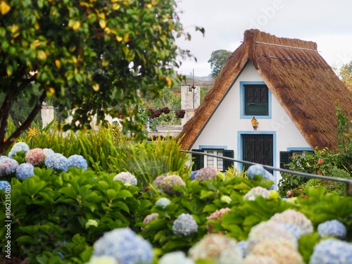 A charming traditional cottage with a thatched roof nestled amidst vibrant hydrangea bushes, exuding an aura of timeless beauty and natural harmony - Santana houses in Madeira, Portugal
