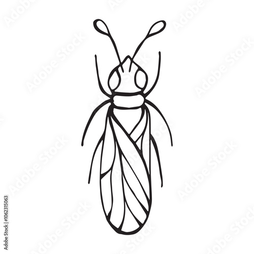 Coloring page of a beetle, bug. Insect outline vector, icon. Hand drawn doodle style, Isolated black line on white.