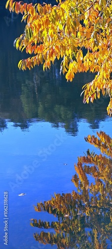 Spiegelndes Herbstlaub überm See photo