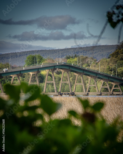 PUENTE RIO CRUCES - VALDIVIA photo