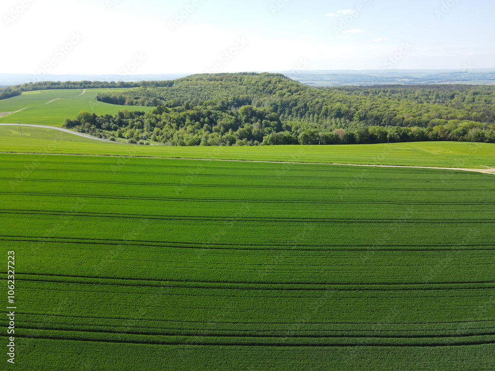 Countryside with green wheat, green barley and forest trees in spring from above Countryside with green wheat, green barley and forest trees in spring from above
