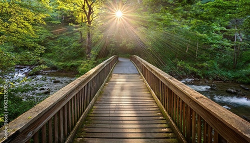 wooden bridge over the river