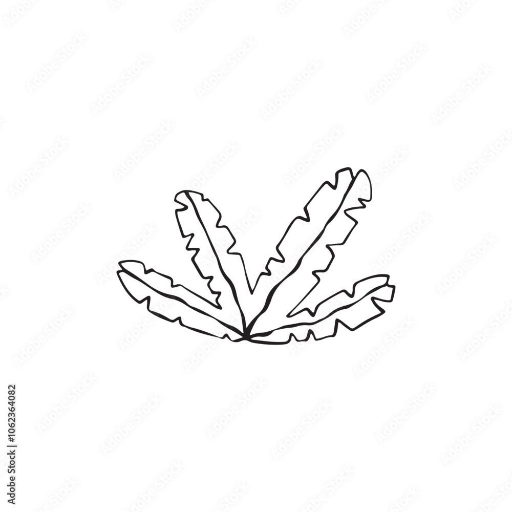 Tropical fantasy plant in hand drawn sketch style. Childish simple vector illustration. Black marker isolated on white background. Tropical fantasy plant in hand drawn sketch style. Childish simple vector illustration. Black marker isolated on white background.