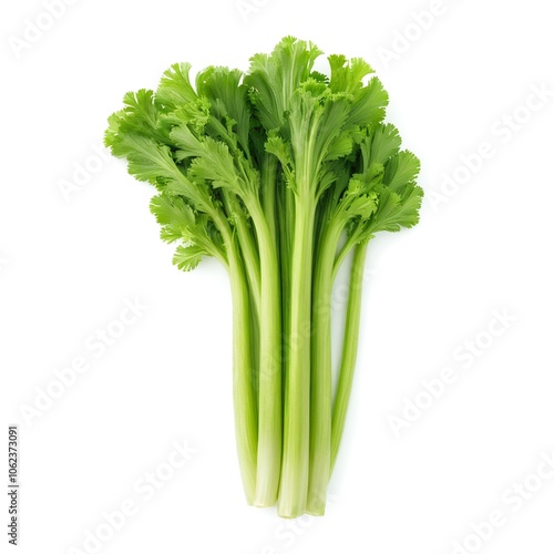 Fresh Green Celery Stalks with Leaves Isolated on White Background