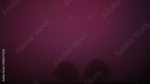 Pink fog is obscuring two trees at night