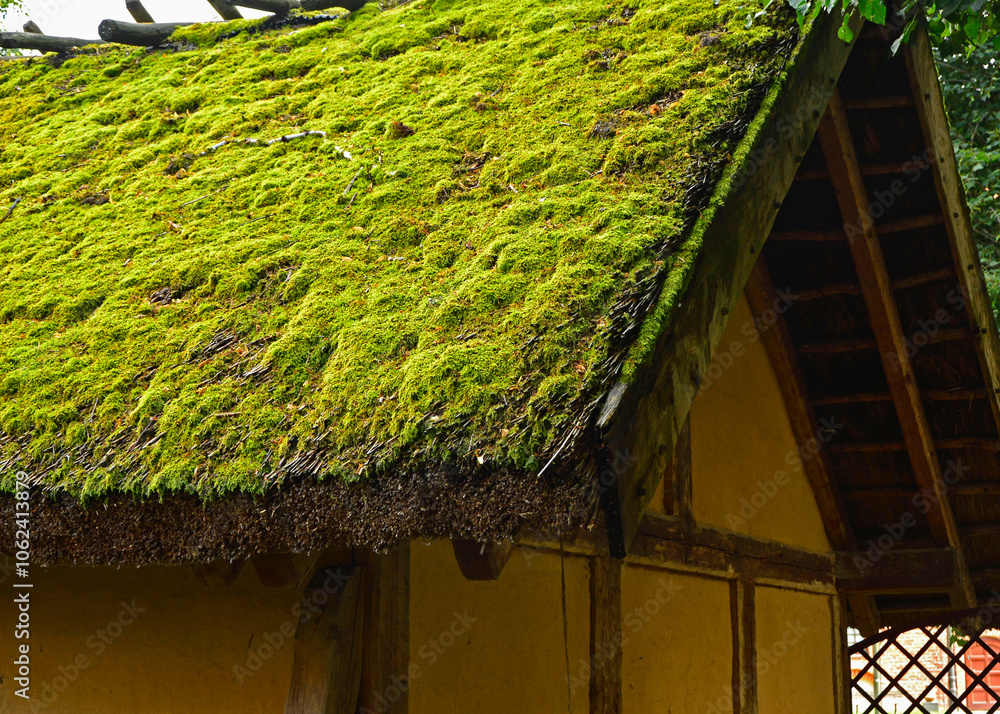 zbliżenie dachu pokrytego strzechą i mchem, Roof of an old wooden building covered with thatched roof and moss, Old roof of reeds, covered with moss