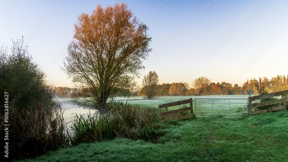 Fototapeta premium Rise and Mist: Leiden's Foggy Sunrise
