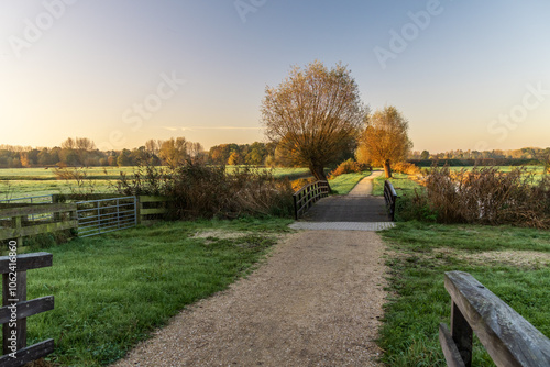 Autumn landscape in the Dutch park