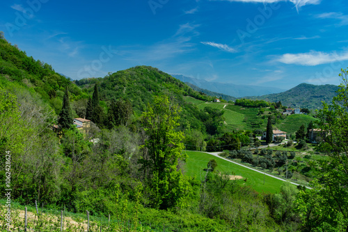 Colline Tarzo