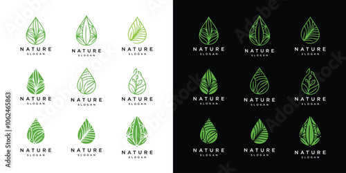 water drop leaf logo vector template collection.water drop logo icon set with leaf