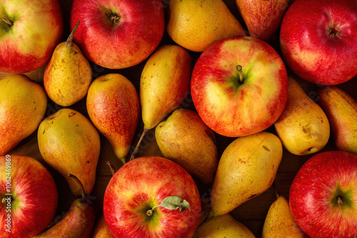 ripe apples and pears fill the frame completely. background photo. autumn fruits concept