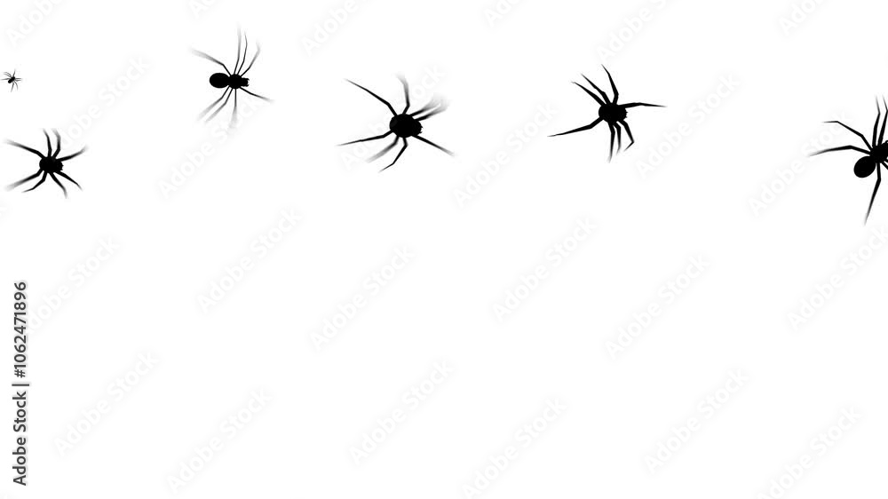 Animated crawling spiders on transparent background. Clusters of creepy black insects moving across the screen.