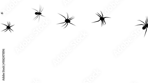 Animated crawling spiders on transparent background. Clusters of creepy black insects moving across the screen.