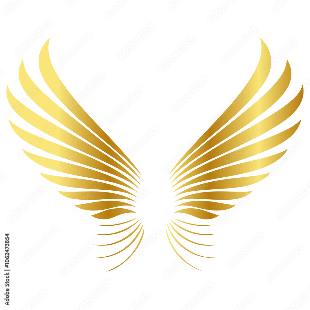 Obraz premium golden wings