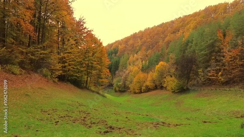 Beautiful, sunny, autumn day.