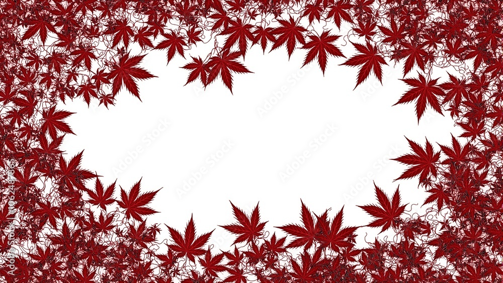 Delicate Japanese maple leaves in deep red intricate lace like pattern elegant autumnal feel Delicate Japanese maple leaves in deep red intricate lace like pattern elegant autumnal feel