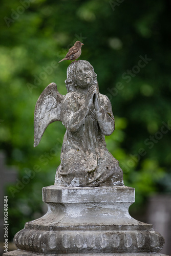 Stone angel, tomb fragment