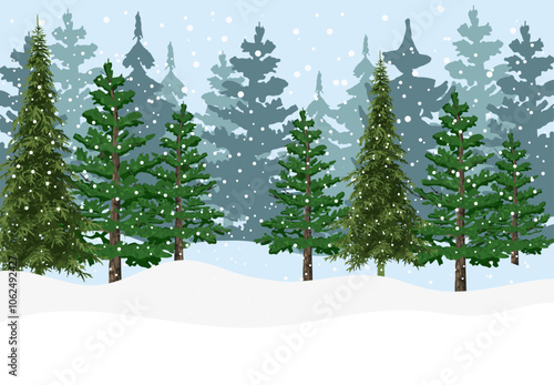 Snow forest illustration with spruce trees