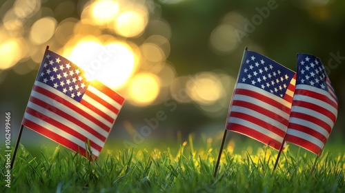 American Flags Displayed on a Sunny Summer Day