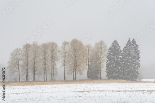 Wallpaper Mural snowy winter daytime landscape with snowy trees and falling snow, generative AI Torontodigital.ca