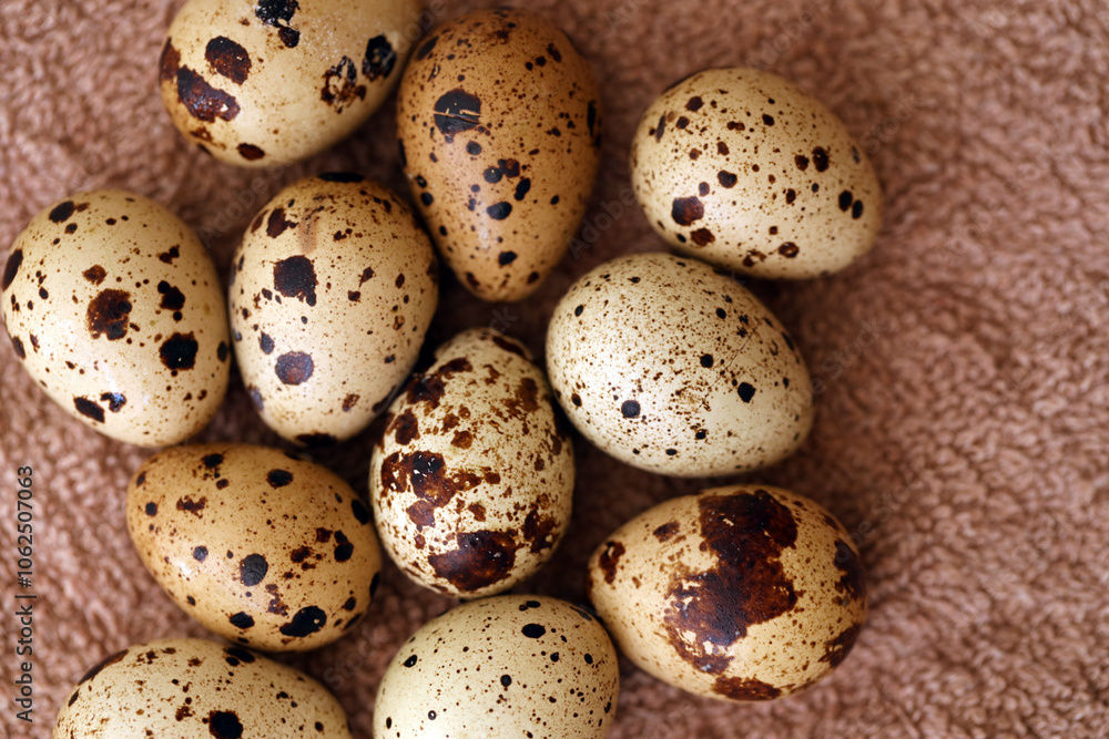 Few amount of quail eggs in small pile on brown towel background Few amount of quail eggs in small pile on brown towel background